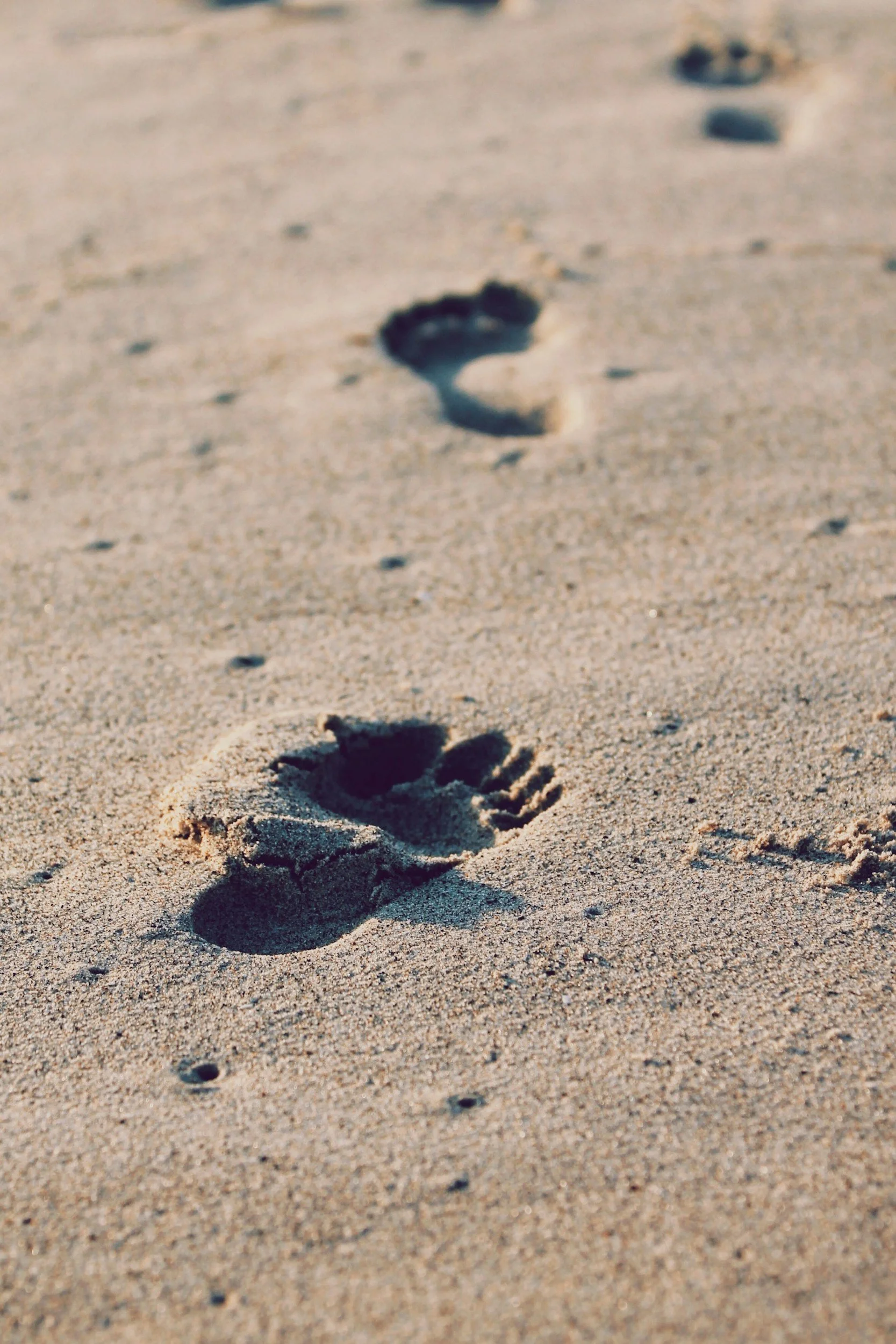 Meditation and spiritual practice